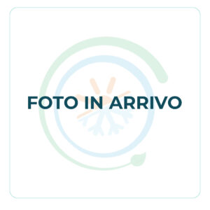 Segnaposto